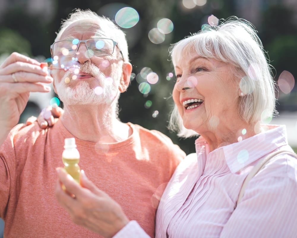 Same-Day Restorations, Dieppe Dentist